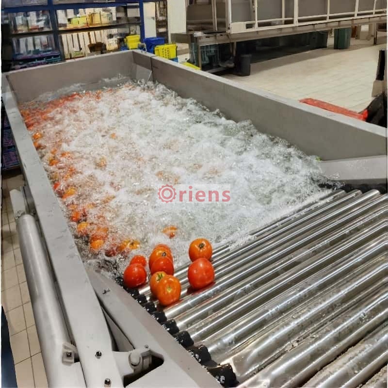 Root Clean Machine Pretreatment Machine for Food Before Drying - Zhengzhou Oriens ...